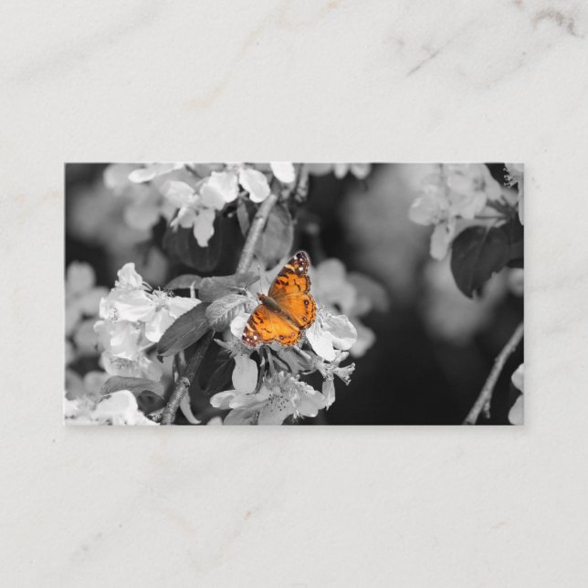 American Lady Butterfly on Blossom Business Card Visitenkarte (Vorderseite)