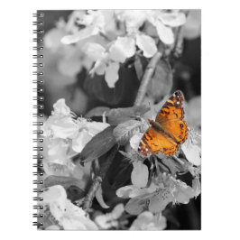 American Lady Butterfly Spiral Notebook Notizblock