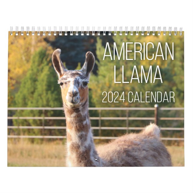 American Llama 2024 Kalender (Titelbild)