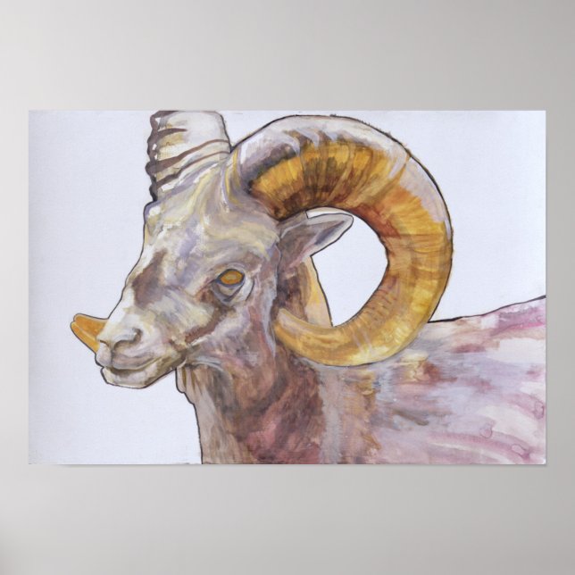 American Long Horn 2004 Poster (Vorne)