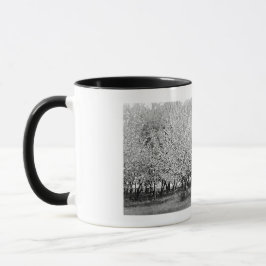 American Man in Orchard Real Foto Kaffee Tasse
