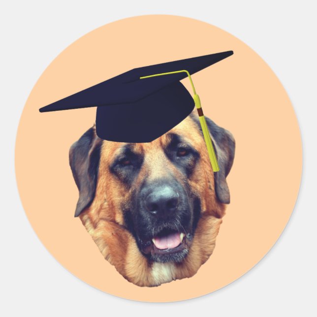 American Mastiff Dog Graduation Cap Runder Aufkleber (Vorderseite)