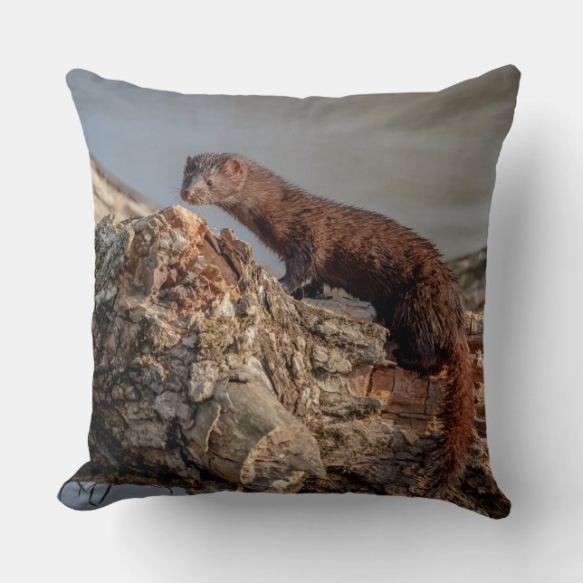 American Mink Kissen (Vorderseite)