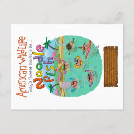American Noodle Fish Postkarte