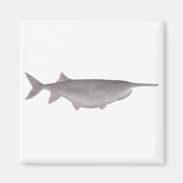 American Paddlefish Magnet (Vorne)