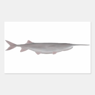American Paddlefish Rechteckiger Aufkleber