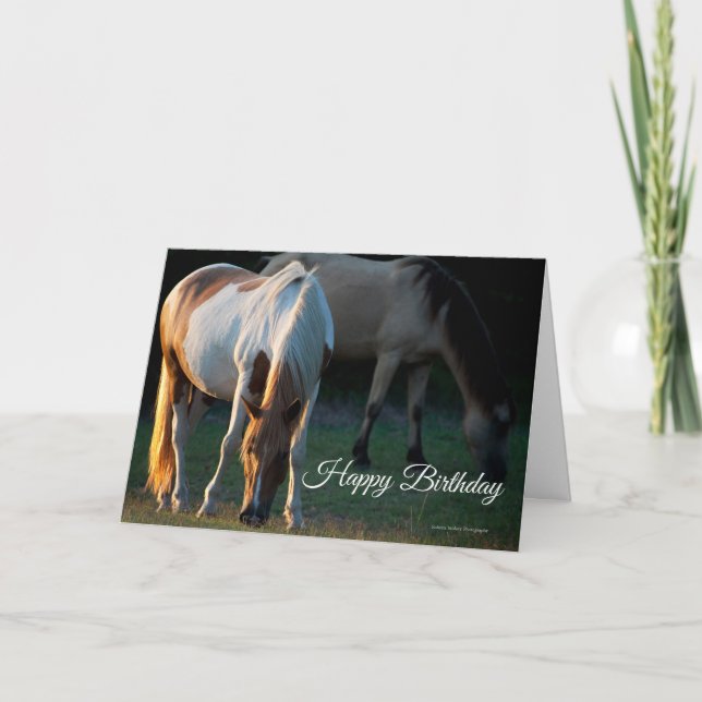American Paint Horse Birthday Card Karte (Vorderseite)
