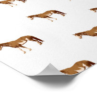 American Paint Horse Reitsport