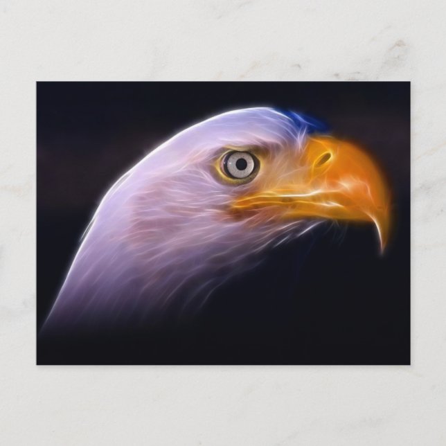 American Patriotic Bald Eagle, Nationales Symbol Postkarte (Vorderseite)