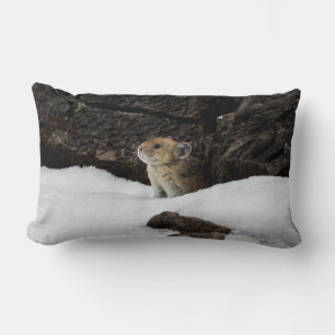 American Pike in Snowbank Lendenkissen
