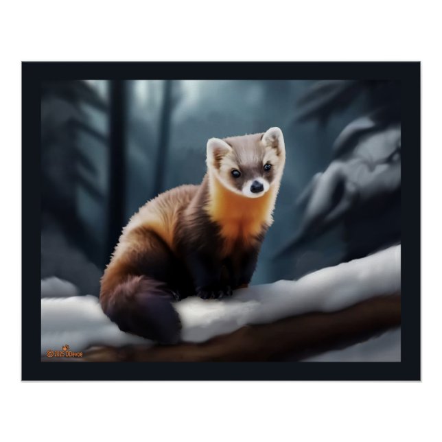 American Pine Marten Poster (Vorderseite)