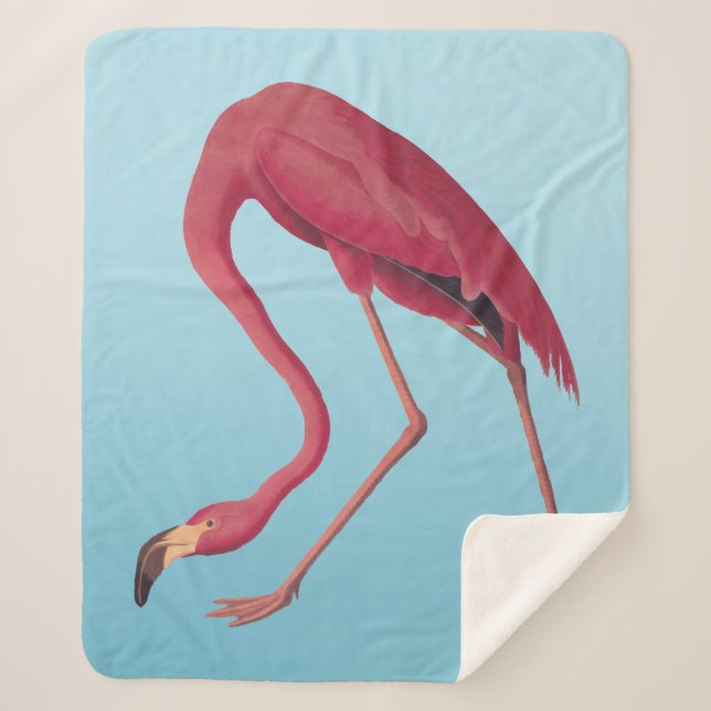 American Pink Flamingo Vintag Art Fleece Blanko Sherpadecke (Vorderseite)