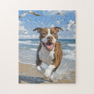 American Pit Bull Terrier am Strand
