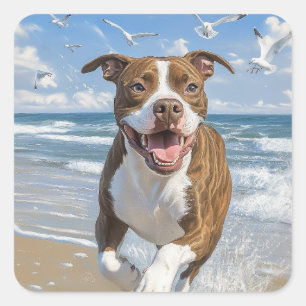 American Pit Bull Terrier am Strand Quadratischer Aufkleber