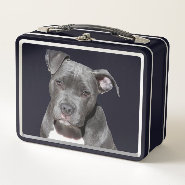 American Pit Bull Terrier Metall Brotdose (Vorderseite)
