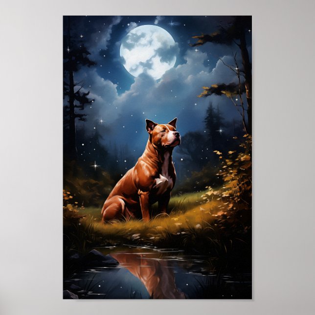 American Pit Bull Terrier Poster (Vorne)