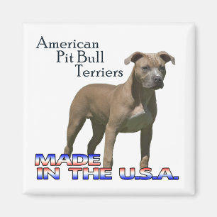American Pit Bull Terriers : Magnet Carré