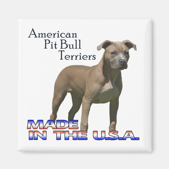 American Pit Bull Terriers : Magnet Carré (Devant)