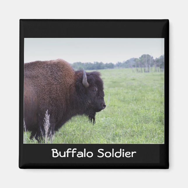 American Plains Buffalo Bison Magnet (Vorne)