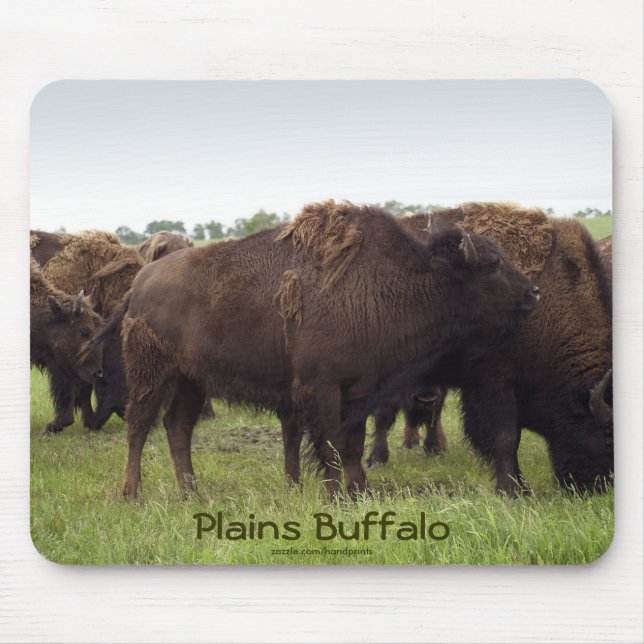 American Plains Buffalo Bison Mousepad (Vorne)