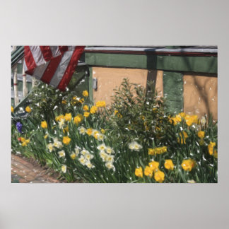 American Porch Poster