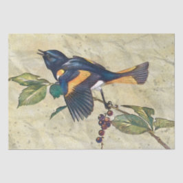 American Redstart Bird Decoupage Tissue Paper Seidenpapier