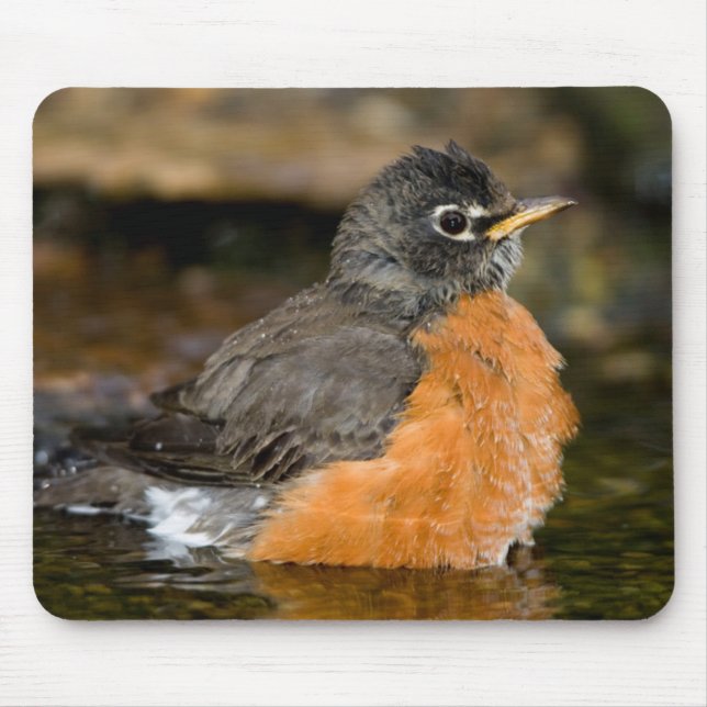 American Robin Bat 2 Mousepad (Vorne)