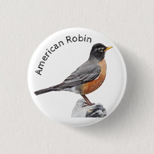 American Robin Button (Vorderseite)
