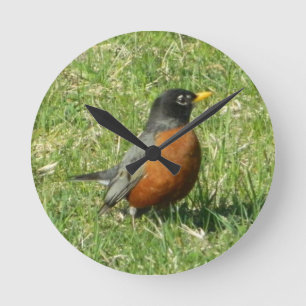American Robin Clock Runde Wanduhr
