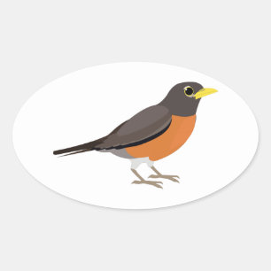 American Robin Illustration Ovaler Aufkleber