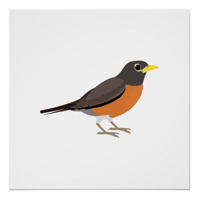 American Robin Illustration Poster (Vorderseite)