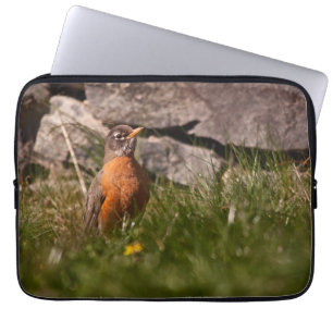 American Robin Laptopschutzhülle