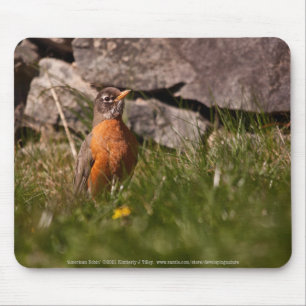 American Robin Mousepad