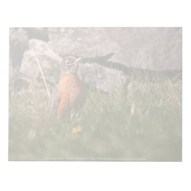 American Robin Notizblock (Vorderseite)