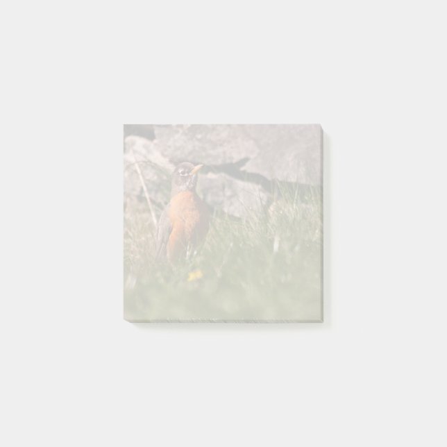 American Robin Post-it Klebezettel (Vorderseite)