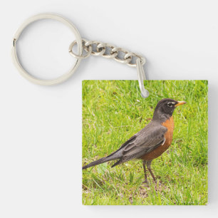 American Robin Schlüsselanhänger
