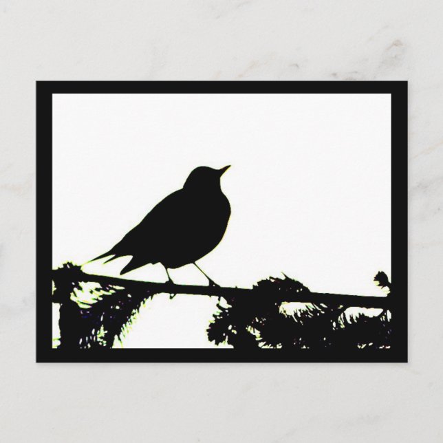 American Robin Silhouette Postcard Postkarte (Vorderseite)