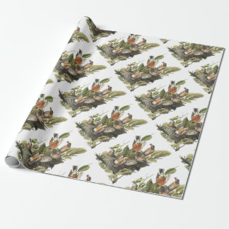 American Robin von Audubon Geschenkpapier