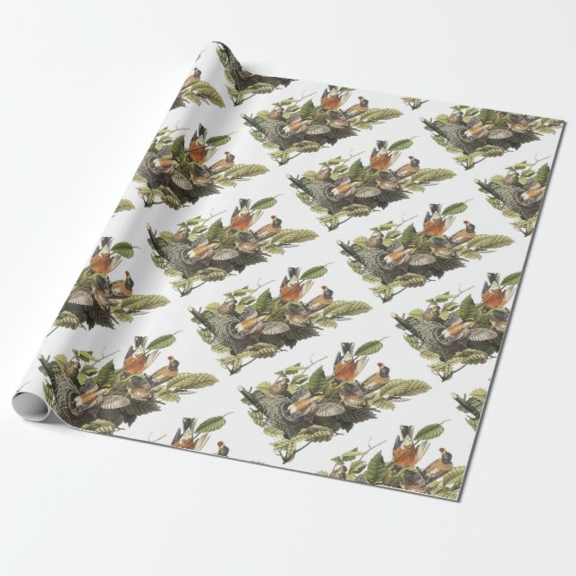 American Robin von Audubon Geschenkpapier (Ungerollt)