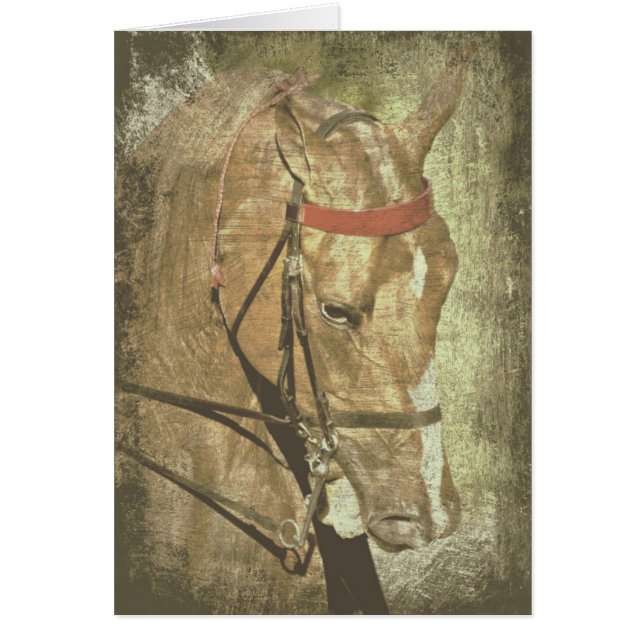 American Saddlebred (Devant)