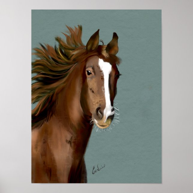 American Saddlebred Poster (Vorne)