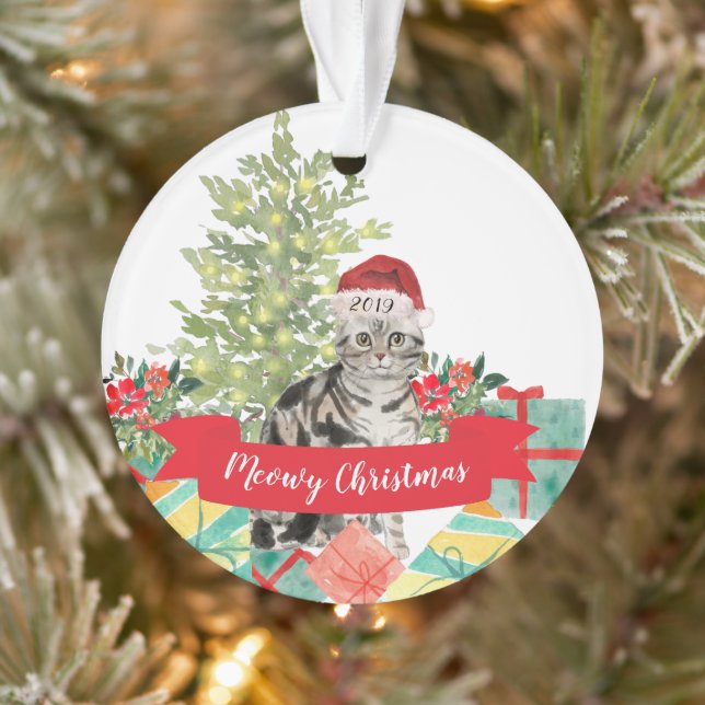 American Shorthair brown Tabby Noël (Arbre)