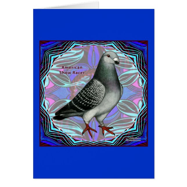 American Show Racer (Vorne)