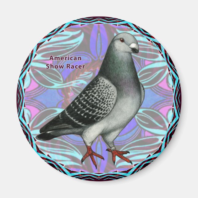 American Show Racer Magnet (Vorne)