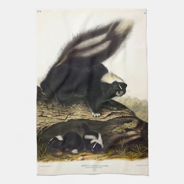 American Skunk oder Striped Skunk von Audubon Geschirrtuch (Vertikal)
