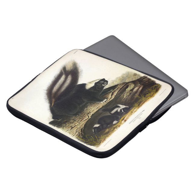 American Skunk oder Striped Skunk von Audubon Laptopschutzhülle (Vorne Oben)