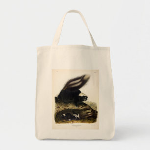 American Skunk oder Striped Skunk von Audubon Tragetasche