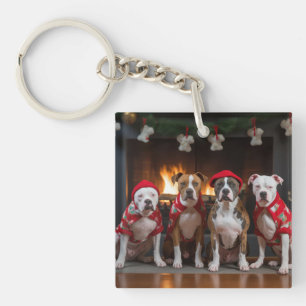 American Staffordshire au coin du feu de Noël