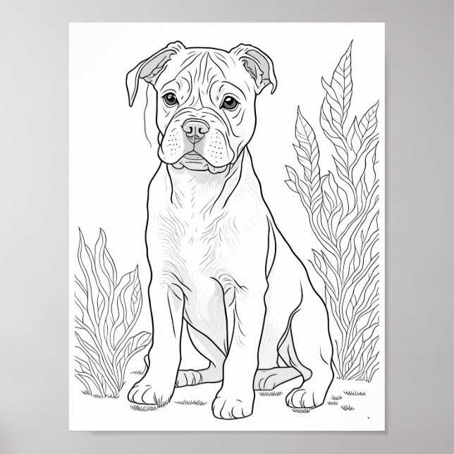 American Staffordshire Dog Aduloring Poster (Vorne)