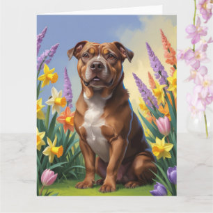 American Staffordshire Dog Spring Flowers Malerei Karte